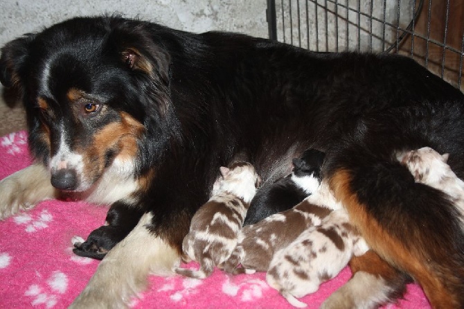 Les bébés de Love et Doudou sont nés